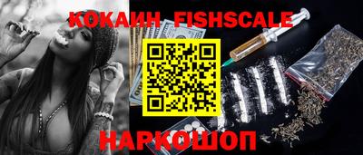 ешки Кингисепп