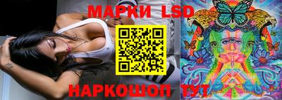стаф Кимры
