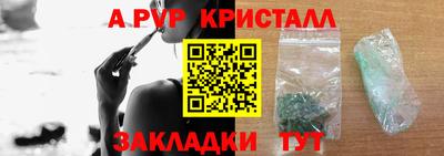 стаф Кимры