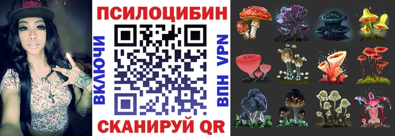 Галлюциногенные грибы Magic Shrooms mega ТОР дарк нет официальный сайт Кстово