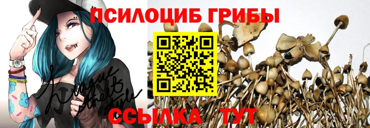 Галлюциногенные грибы MAGIC MUSHROOMS  Вход с VPN  Кстово 